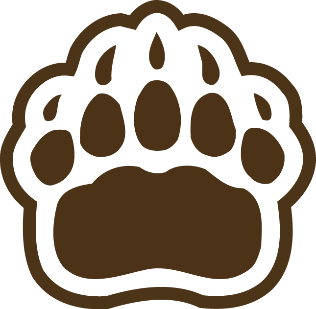 Brown Bears 1997-Pres Secondary Logo v2 diy DTF decal sticker